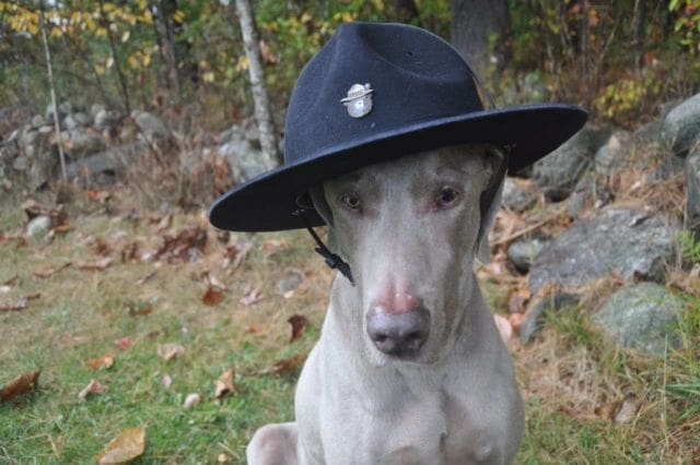 5f0c223b29714a23ca1ede64f2fce202