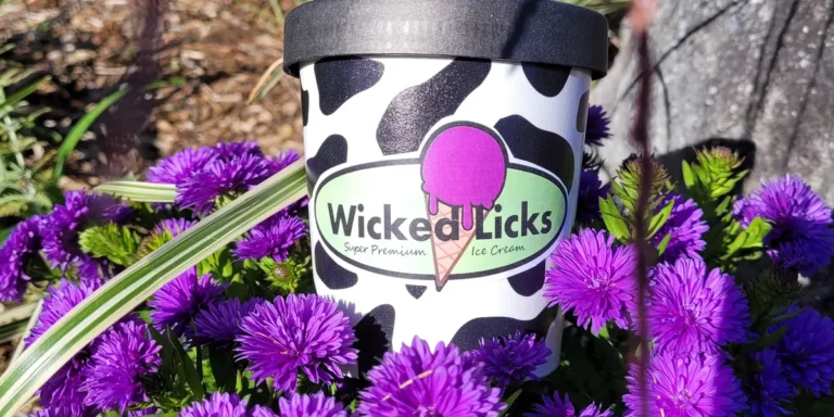 wickedlicks1 768x384